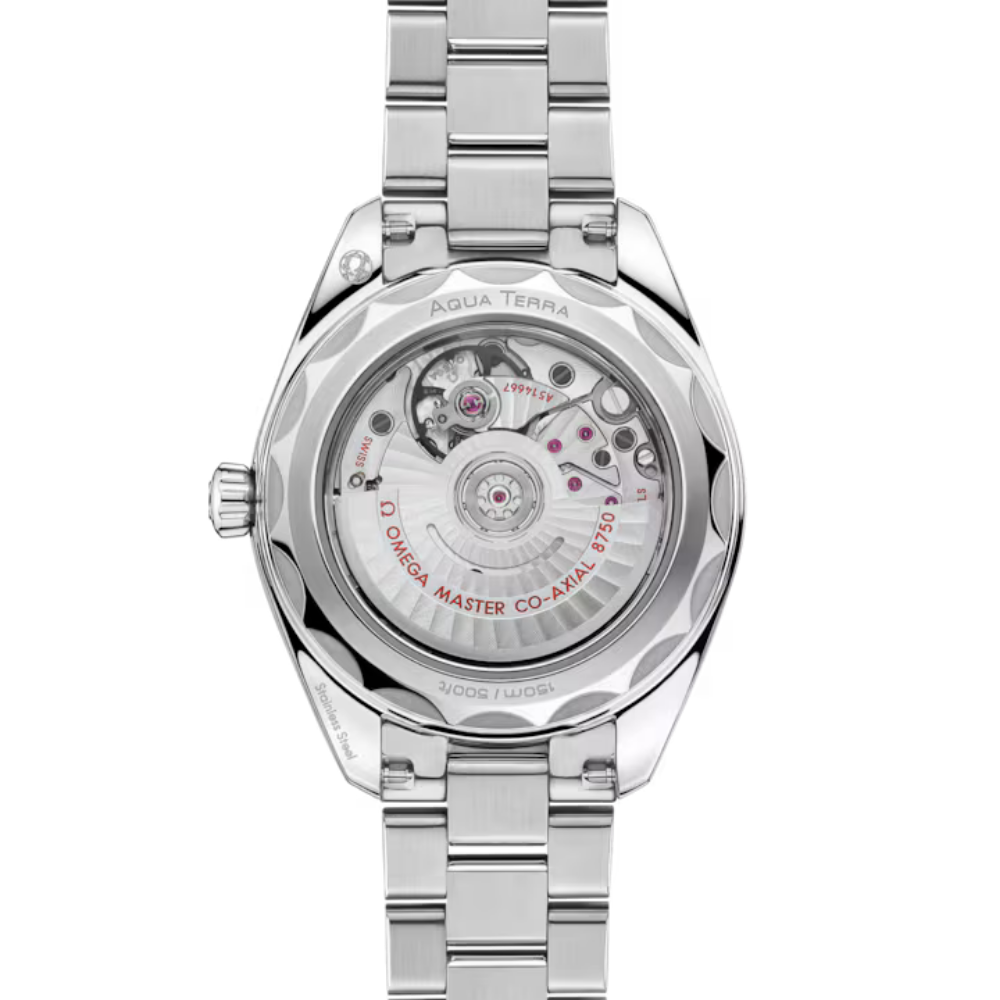 Seamaster Aqua Terra 150M