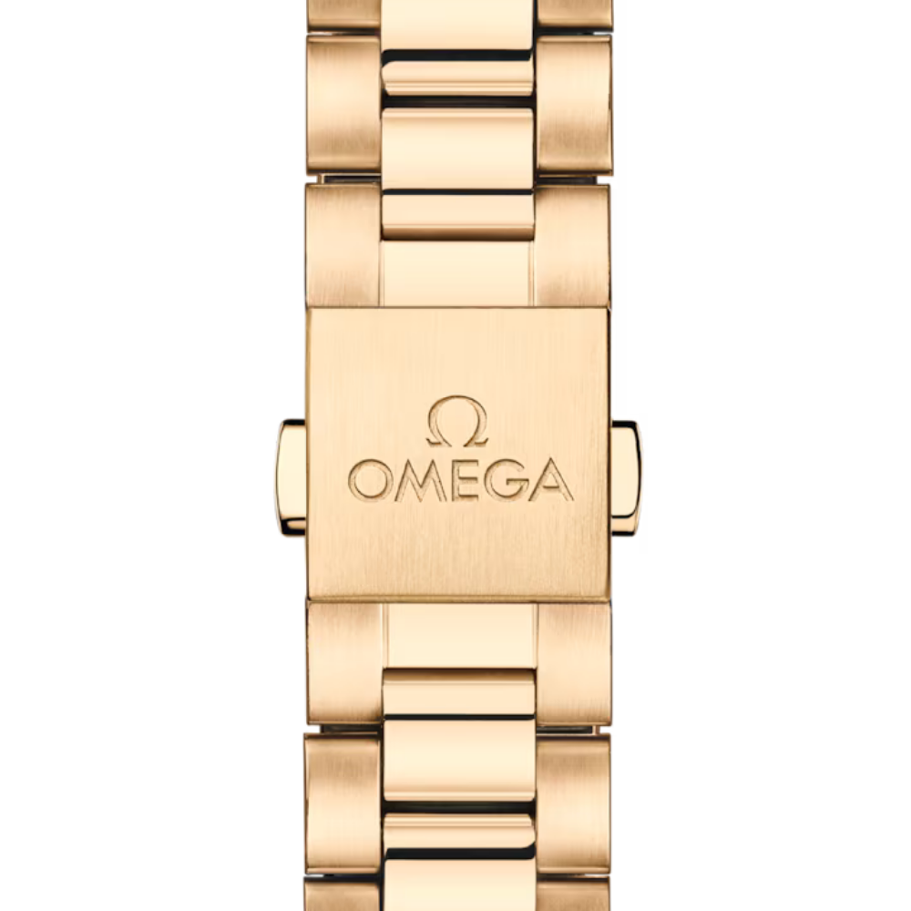 Seamaster Aqua Terra 150M
