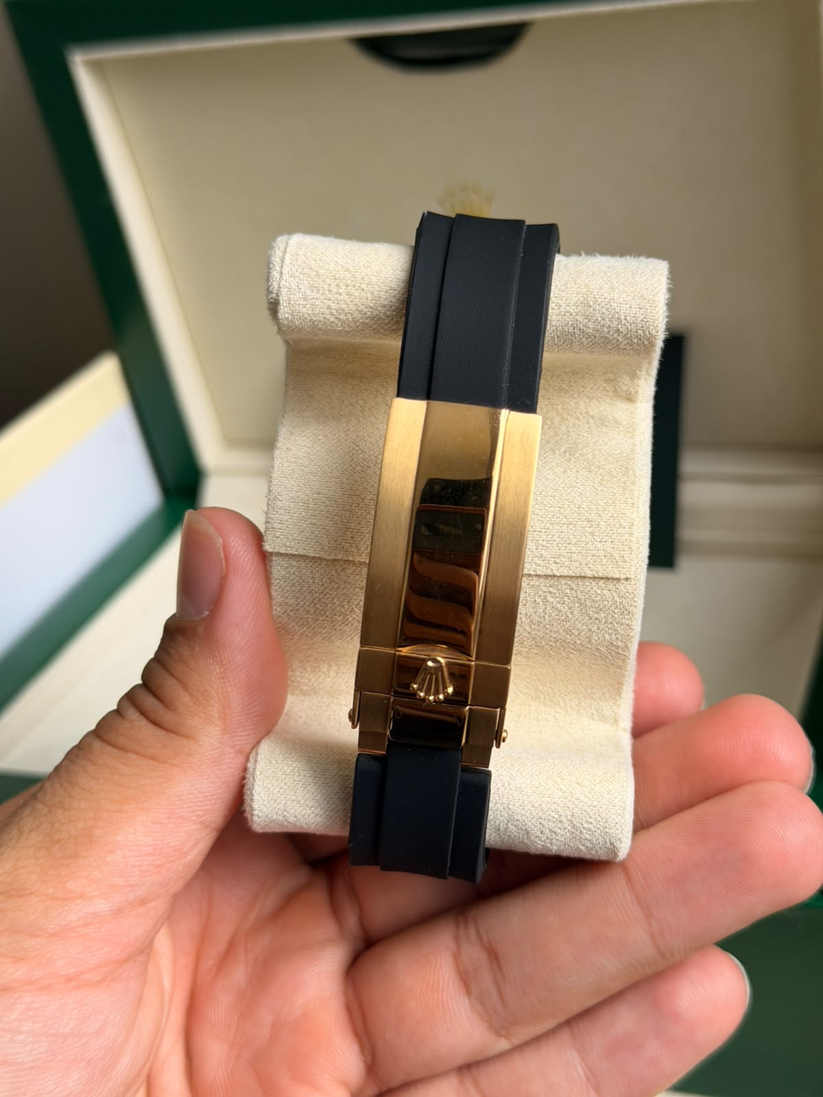 Rolex Daytona / Gold Azul-Turquesa
