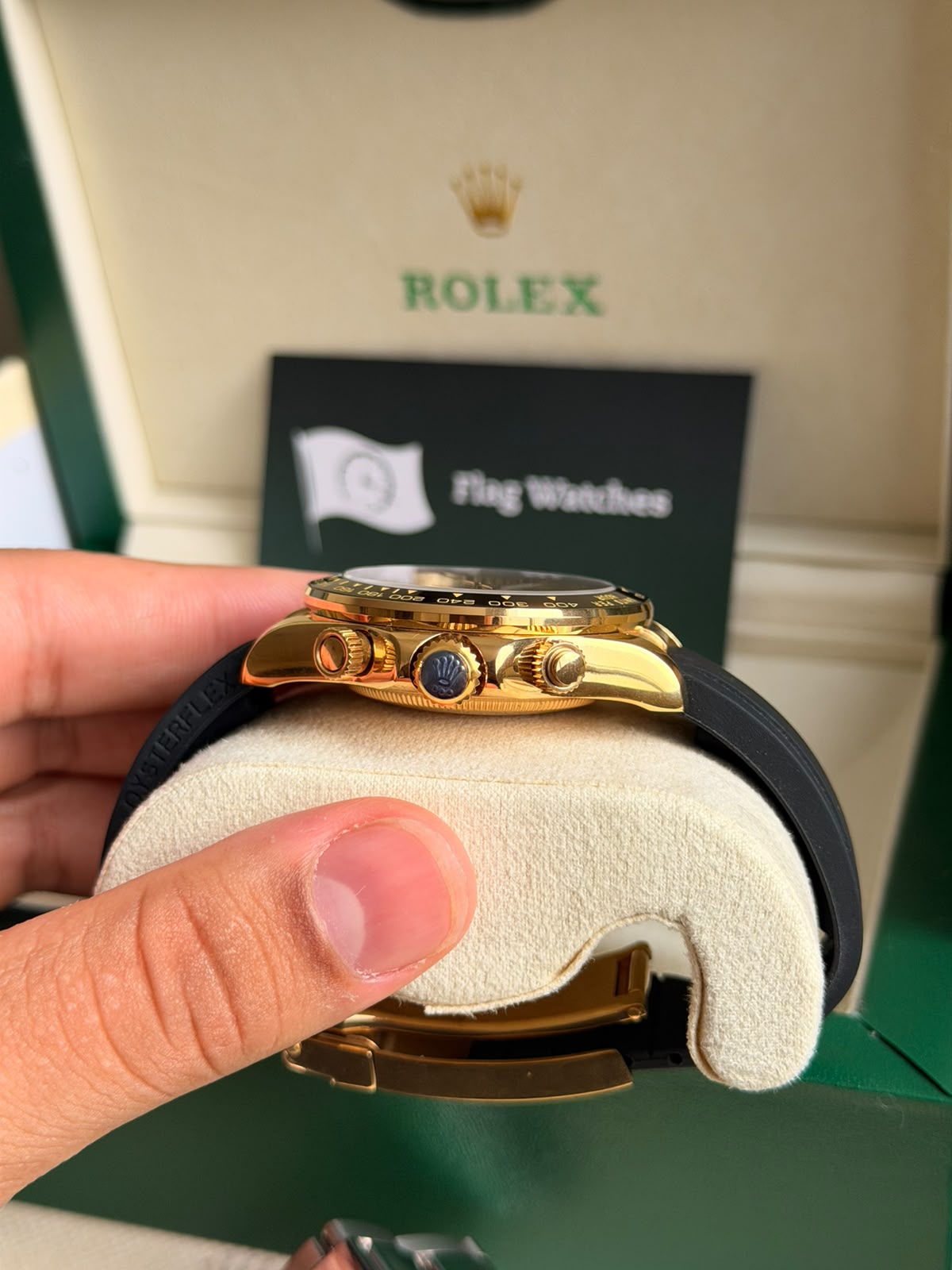 Rolex Daytona / Gold Azul-Turquesa