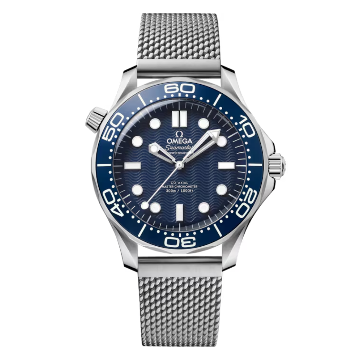 Constellation 41 mm Stainless Steel – Leather Strap